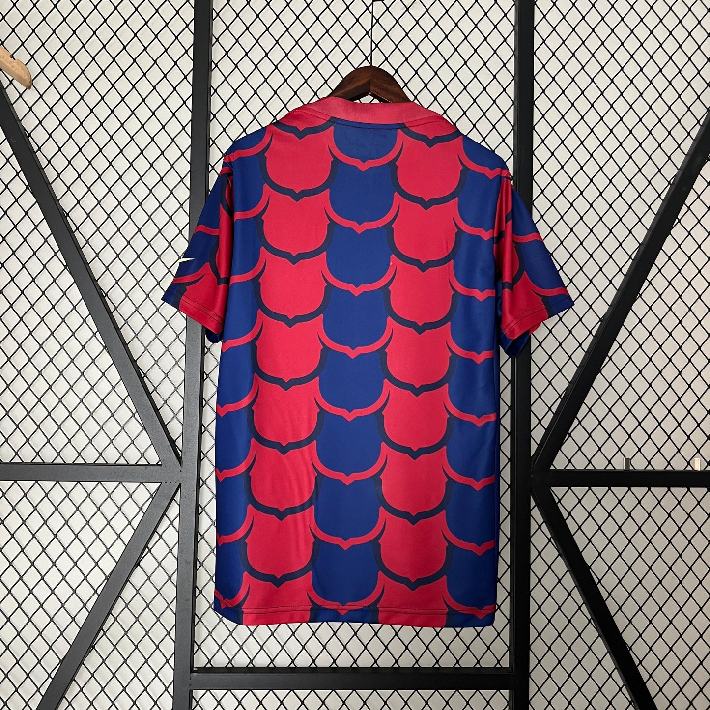 New FC Barcelona Special Edition Shirt 24/25