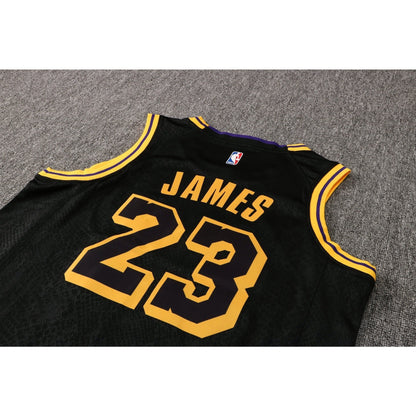 CAMISETA JAMES LAKERS