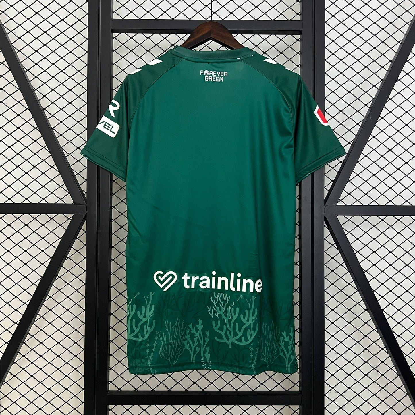 New Real Betis Special Edition Shirt 24/25