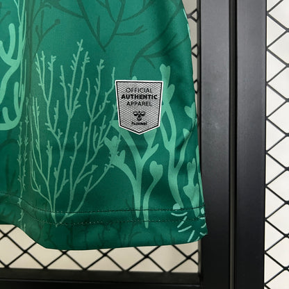 New Real Betis Special Edition Shirt 24/25