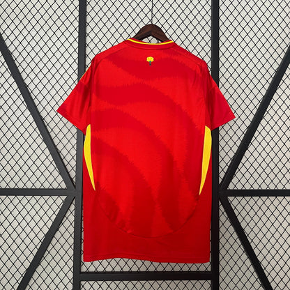 New España Shirt Euro 2024