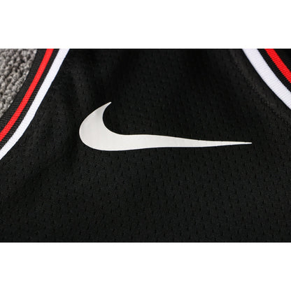 CAMISETA LAVINE CHICAGO BULLS