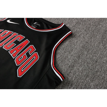 CAMISETA ROSE CHICAGO BULLS