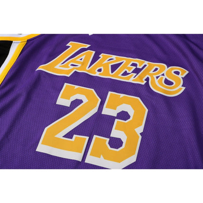 CAMISETA JAMES LAKERS